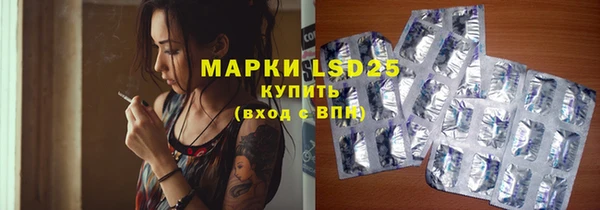 ECSTASY Богородицк