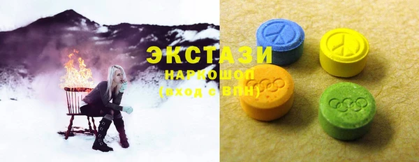 ECSTASY Богородицк