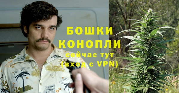 ECSTASY Богородицк