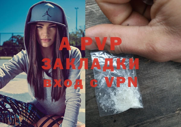 ECSTASY Богородицк